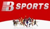 必一·运动(B-sports)官方网站