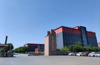 走进bsports必一体育